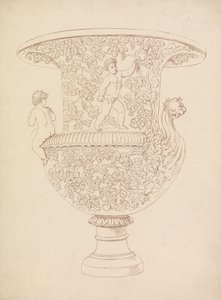 Study of a Vase